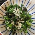 saTomycook's cooksnap of when they made 小松菜とジャコのナムル.