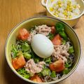 ルぴあ's cooksnap of when they made 夏に嬉しい♪カフェ弁で冷たい麺弁当♫.