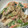 TeaChan214's cooksnap of when they made 【農家のレシピ】野菜とキノコの白和え.