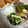 Nya6nya6's cooksnap of when they made お弁当に！ほうれん草人参油揚げ簡単お浸し.
