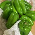 petokko's cooksnap of when they made ピーマンの保存方法.