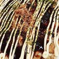akiyuママ's cooksnap of when they made 激安！鶏むねのお好み焼き山芋入り.