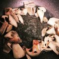 ♬あじさいのレシピ♬'s cooksnap of when they made ＊レンコンのゴマドレ炒め＊.