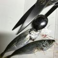 こつゆ514's cooksnap of when they made アジのさばき方 ハサミとスプーンで簡単に.