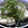 mqi88's cooksnap of when they made 簡単に揚げだし豆腐.