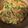 ようさんママ's cooksnap of when they made 全粒粉のニラチヂミ。.