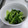 クック3N0VKO☆'s cooksnap of when they made ちんげん菜のナムル.