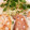 ぶぅと's cooksnap of when they made 15分で簡単！和風れんこんのはさみ焼き★.