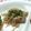 ほあちん's cooksnap of when they made レンジde簡単♪豚こまもやし.