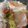 クックH86AFM☆'s cooksnap of when they made 豪華！鯛のアクアパッツァ.
