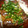 kokenosei's cooksnap of when they made さんまの照り焼き丼.