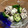 ☆さぶ☆☆'s cooksnap of when they made やみつき！長芋と胡瓜のゆかり和え.