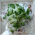 yumelon88's cooksnap of when they made ブロッコリースプラウトと大根サラダ.