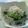ｺｱﾗ's cooksnap of when they made きゅうりとワカメちゃんシラスくん.