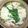 ｶﾘｺﾄ's cooksnap of when they made 鶏胸肉の鶏ガラスープ鍋.