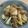 Yunamom's cooksnap of when they made 鶏の照り焼き丼*+.