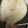 葉月優希's cooksnap of when they made 熟した洋ナシのおいしい食べ方.