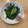 クックANLLO1☆'s cooksnap of when they made 妊婦飯♪しっとり小松菜と海苔のふりかけ.