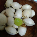 ひっこ's cooksnap of when they made レンジで1分*銀杏の殻むき*.