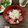ポラリス管理栄養士's cooksnap of when they made うちの⭐ネギトロ丼.