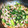 きづのあーじー's cooksnap of when they made 簡単おいしい！！小松菜と豚肉のとろみ炒め.