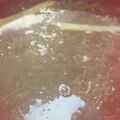 あゆたっくん's cooksnap of when they made ポカポカ♪しょうが&とろろ昆布のスープ☆.