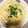 ˚✧₊⁎ゆう˚✧₊⁎'s cooksnap of when they made もやしの中華風スープ.