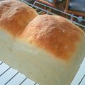 ののはは's cooksnap of when they made ヘルシーなコーンミールのパン.