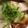 ☆☆こりらっくま☆☆'s cooksnap of when they made レンチンで簡単♡豆腐とナメコのとろとろ煮.
