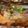 えみとここ's cooksnap of when they made サバフィレのみりん醤油焼.