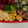 まめ郎's cooksnap of when they made 油揚げとチーズのクルクル巻き★.