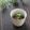 まろんかふぇ's cooksnap of when they made もずくの梅おろし和え.