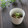 まろんかふぇ's cooksnap of when they made もずくの梅おろし和え.