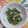 くネコまろす's cooksnap of when they made 冷凍むきあさりとオクラの炒め物.