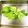 ＠mapleleaf's cooksnap of when they made 薔薇の小松菜サラダ.