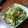 脩ﾏﾏ's cooksnap of when they made いんげんのツナ煮和え.