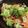 kapparumba's cooksnap of when they made カマスの中華風煮魚・・・紅焼魚.