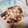 あんこだよ。's cooksnap of when they made ☺簡単おつまみ♪たことエリンギの炒め物☺.