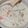 あんこだよ。's cooksnap of when they made あさりの本格☆豆乳クラムチャウダー.