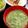 ルぴあ's cooksnap of when they made いつものお味噌汁に生春菊入れてみて～♬.