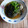 おポチ's cooksnap of when they made チンして揚げだし茄子風.