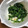 ケダラケ's cooksnap of when they made 作り置き◎ほうれん草のナムル.