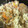 クック49QIKJ☆'s cooksnap of when they made 簡単！炊き込みご飯.