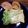 クックHJTK9C☆'s cooksnap of when they made 豆腐ステーキ しょうが風味（透析食）.