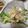 K55☆'s cooksnap of when they made レンジで簡単！鶏のササミで作る棒棒鶏.