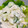 Chang★'s cooksnap of when they made セロリとささみのサラダ.