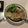 ましゅ16's cooksnap of when they made 鴨のロースト.