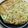 どむぞうくん's cooksnap of when they made 大根もち風ねぎ焼.