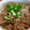 yumelon88's cooksnap of when they made 柔らか大根のそぼろ餡掛け.