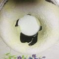 クックMVXCM0☆'s cooksnap of when they made クリスマス♪クグロフ.